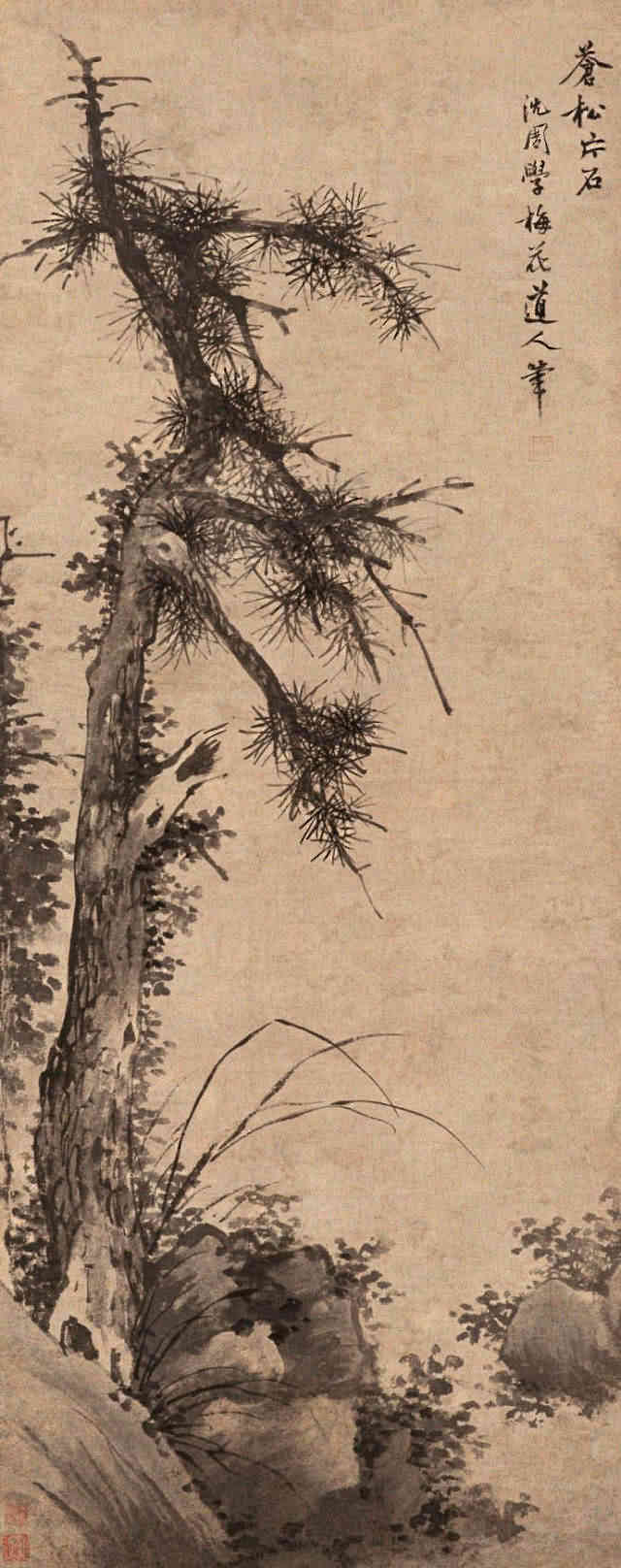 苍松片石图 明 沈周(1427-1509)