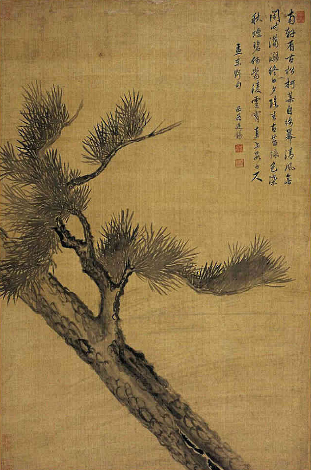 古柏图 清 蒋廷锡(1669-1732)